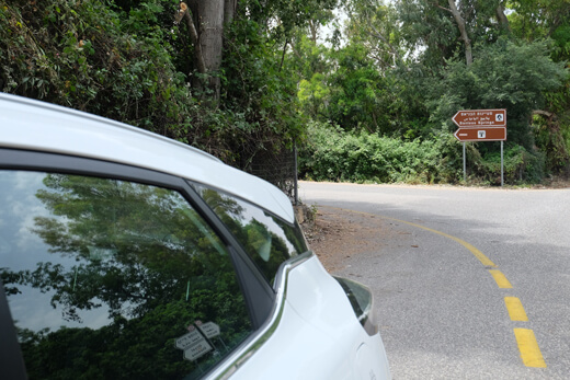 ג'ילי גיאומטרי C בשמורת הבניאס ג'ילי גיאומטרי C בשמורת הבניאס